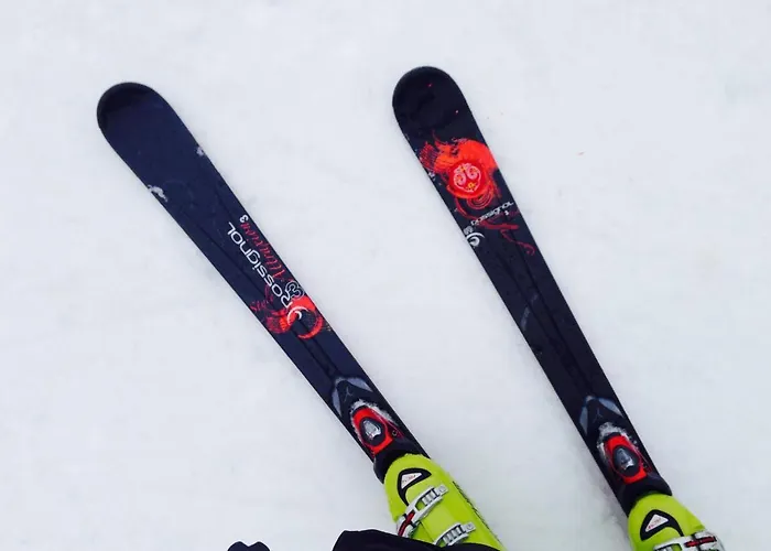 Deutsches Haus - Apartamento Willingen (Upland)