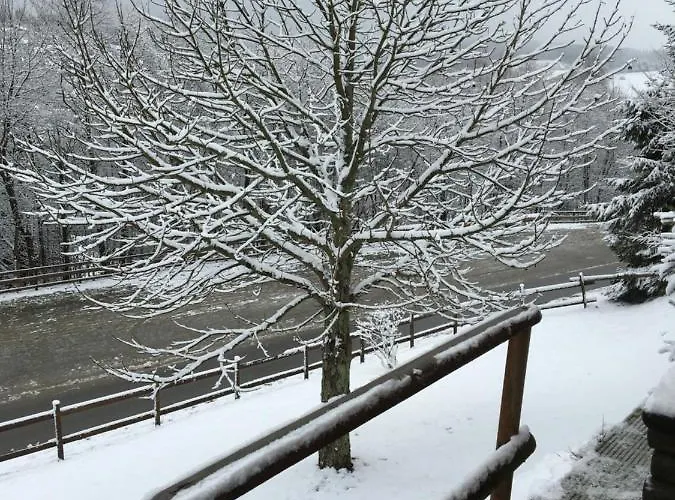 Deutsches Haus - Apartamento *